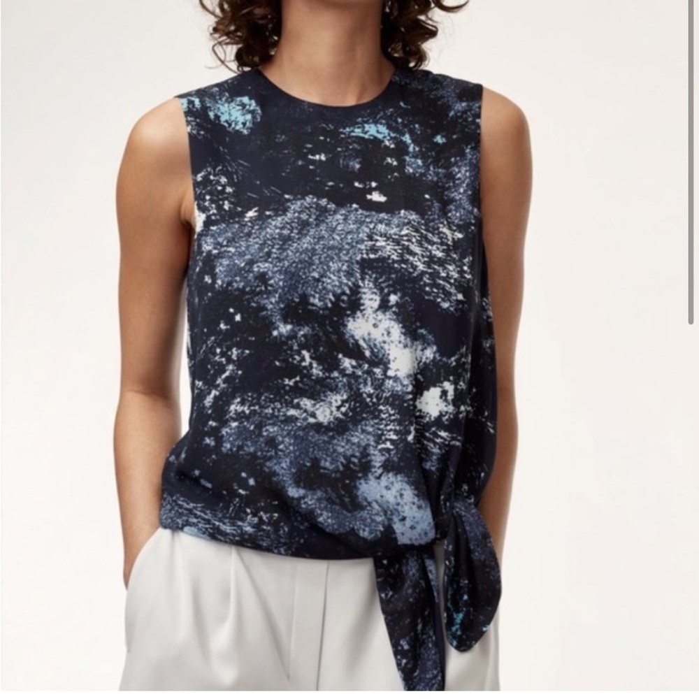 Aritzia Babaton Hopkins Top